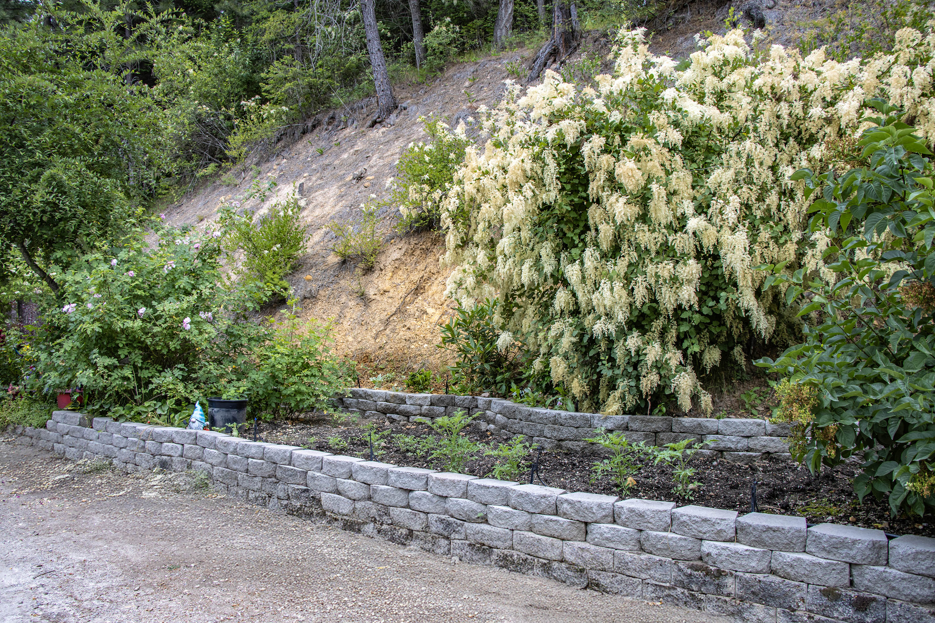 Kingston, Idaho, 83839, United States, 3 Bedrooms Bedrooms, ,2 BathroomsBathrooms,Residential,For Sale,1980630