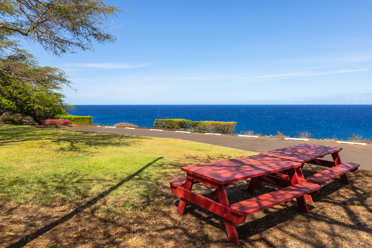 Hawi, Hawaii, 96719, United States, ,Land,For Sale,1997291