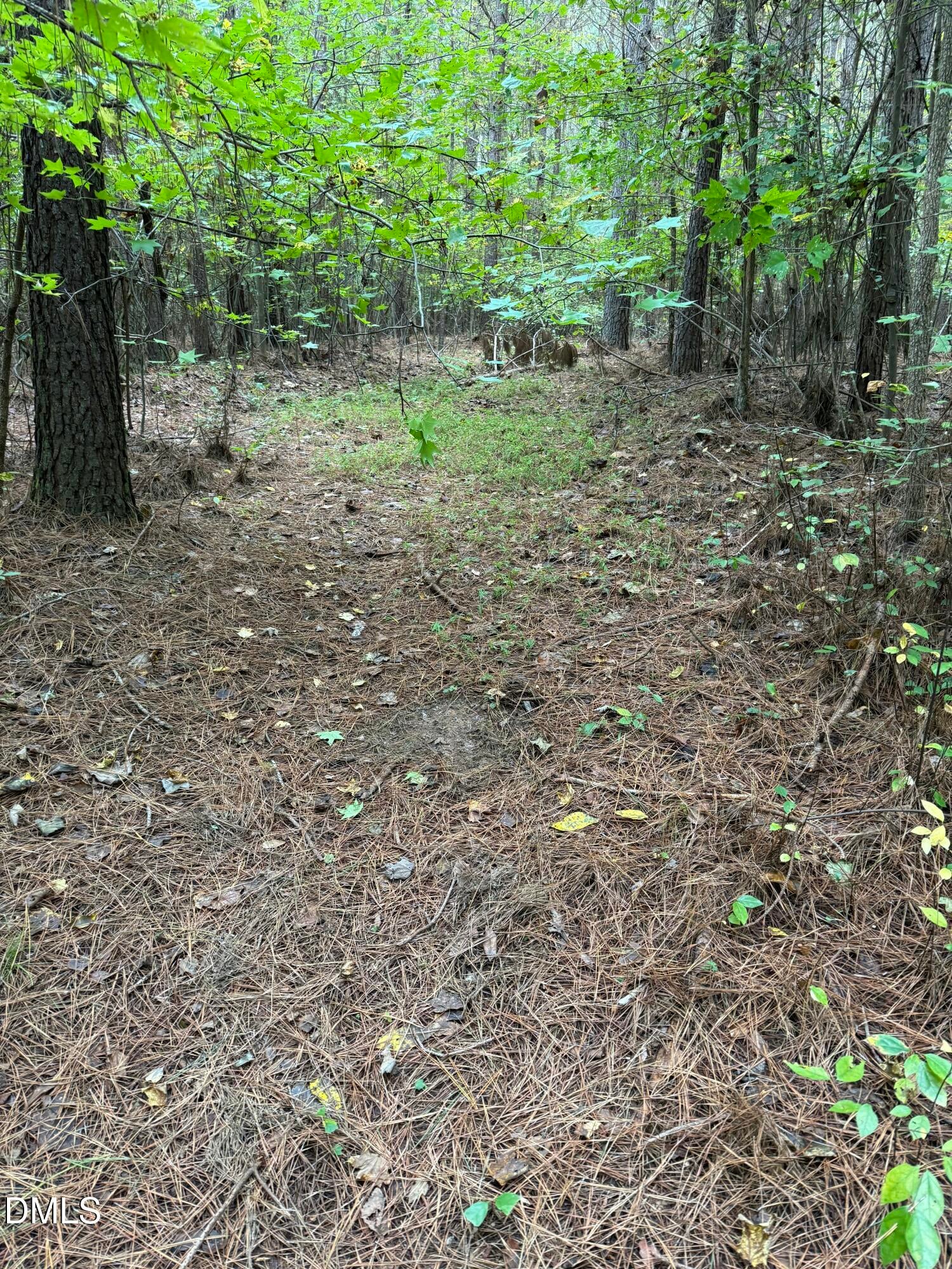 Oxford, North Carolina, 27565, United States, ,Land,For Sale,2000467