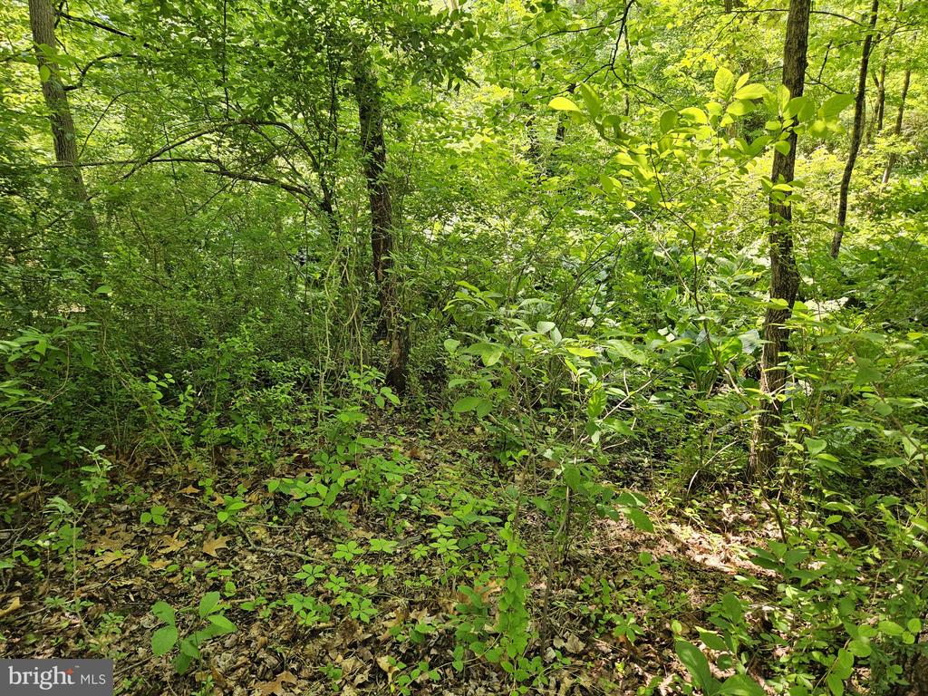 Yardley, Pennsylvania, 19067, United States, ,Land,For Sale,1858190