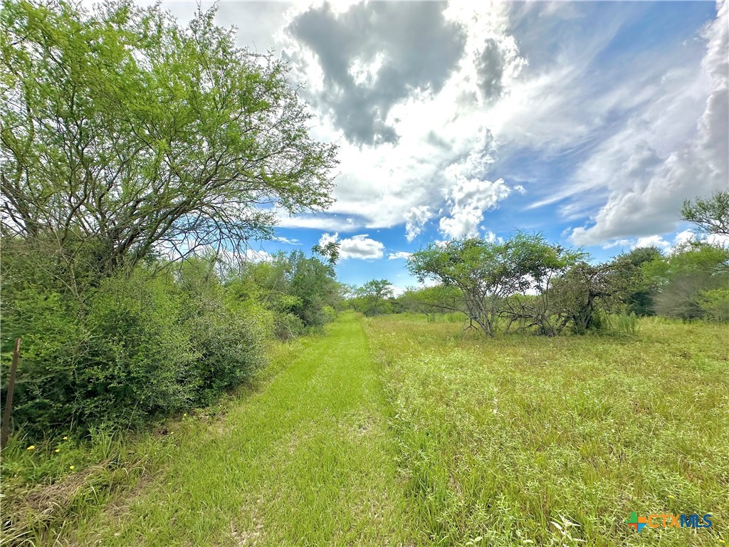 Nursery, Texas, 77976, United States, ,Land,For Sale,1885536
