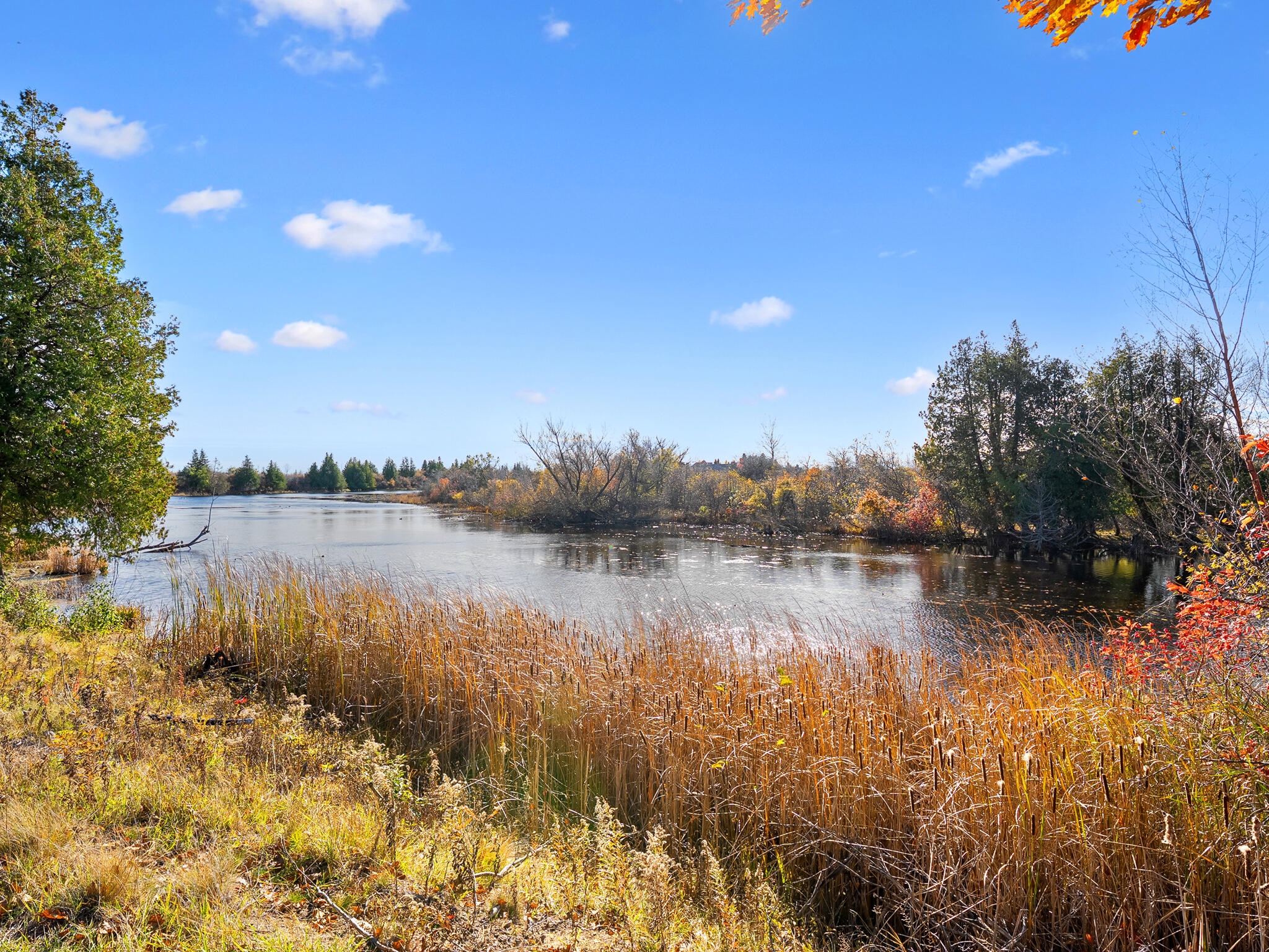 Alpena, Michigan, 49707, United States, 4 Bedrooms Bedrooms, ,4 BathroomsBathrooms,Residential,For Sale,2005523