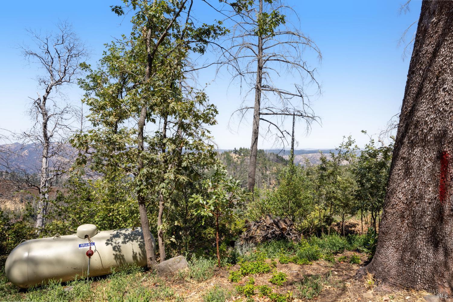 St. Helena, California, 94574, United States, 2 Bedrooms Bedrooms, ,2 BathroomsBathrooms,Residential,For Sale,1975213