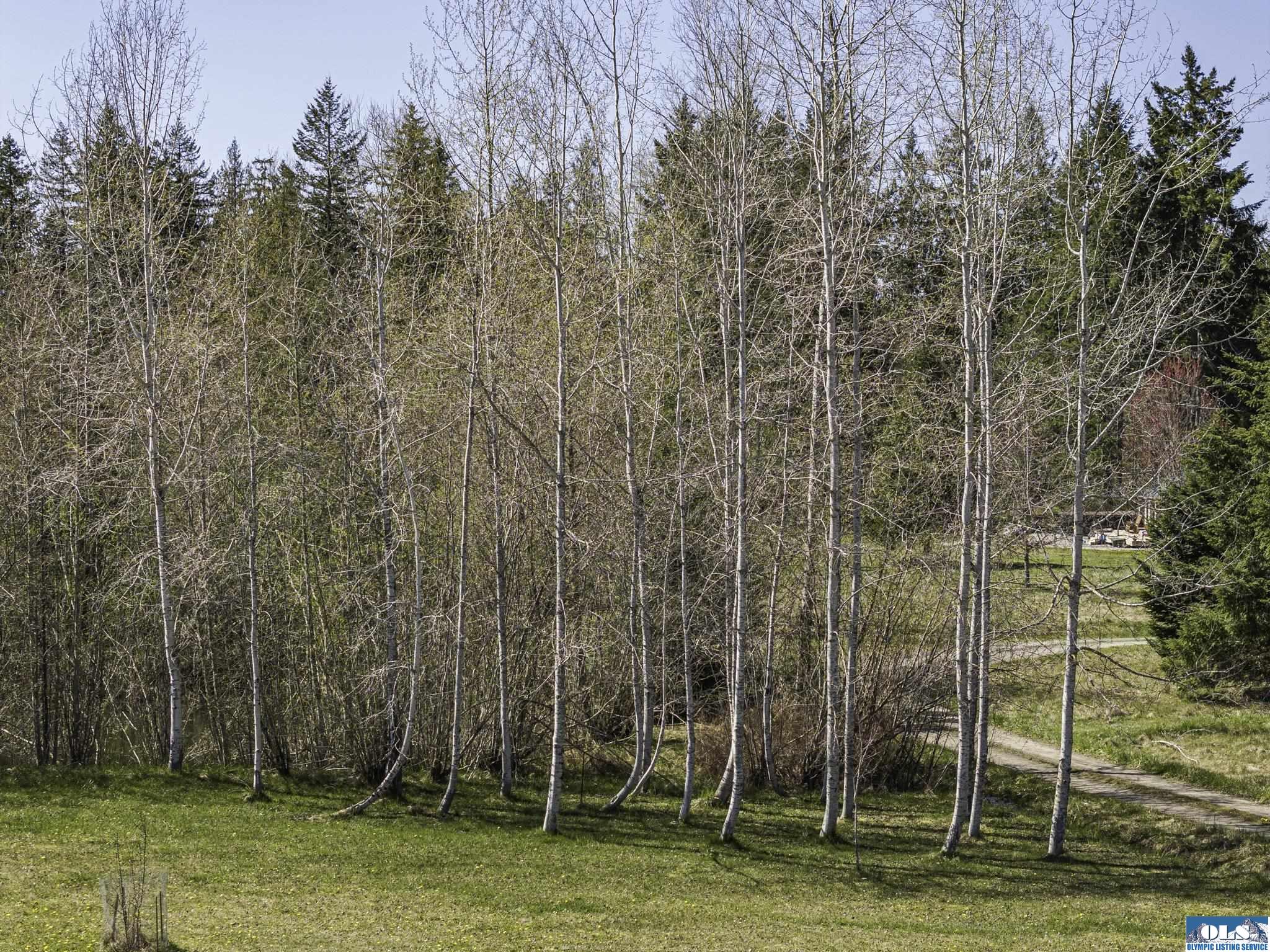 Sequim, Washington, 98382, United States, ,Land,For Sale,1787569