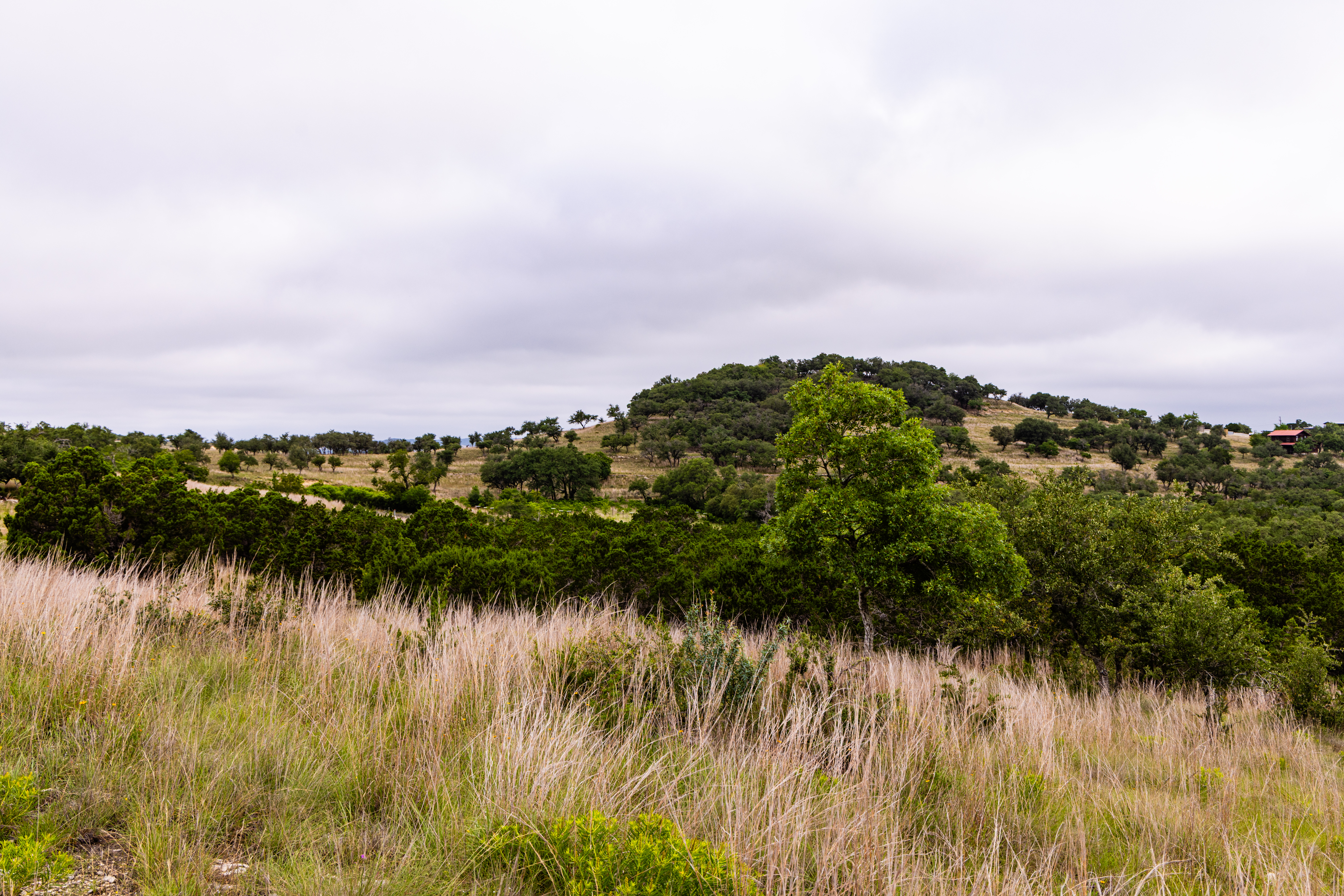  Expansive 10-Acre Lot - 物件實景