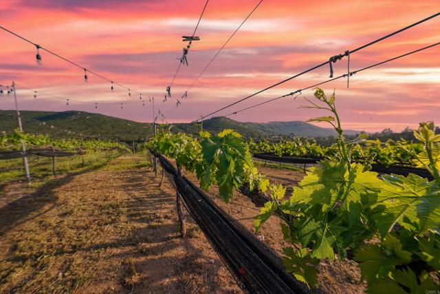 Ramona, California, 92065, United States, 3 Bedrooms Bedrooms, ,2 BathroomsBathrooms,Residential,For Sale,1999514