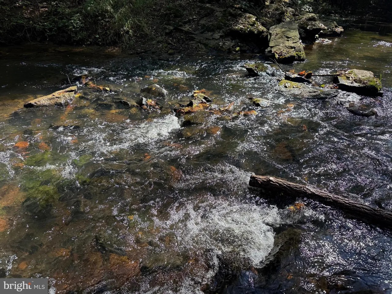 Appomattox, Virginia, 24522, United States, ,Land,For Sale,1982903