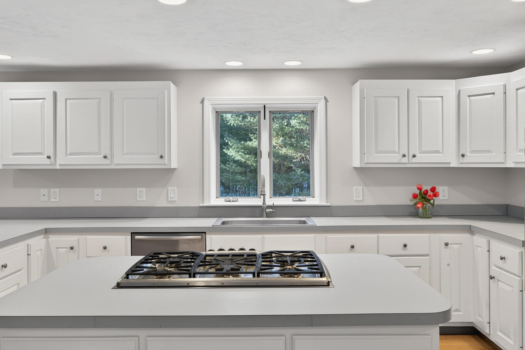  20 Anchor Drive - 物件實景