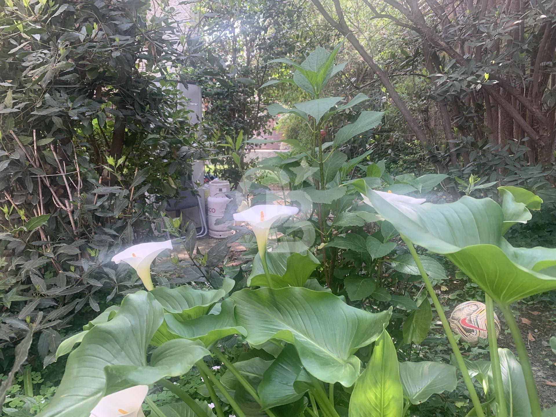 La Reina, Chile, 5 Bedrooms Bedrooms, ,6 BathroomsBathrooms,Residential,For Sale,1970888