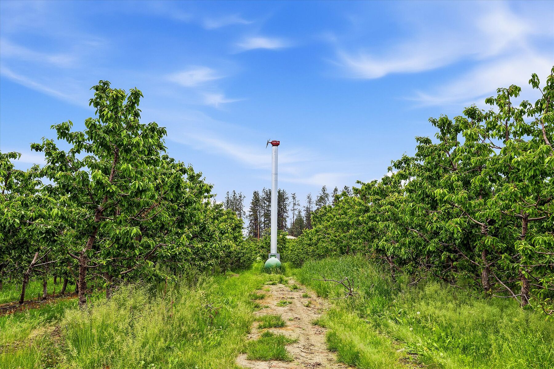  12.81 Acre Orchard - 物件實景