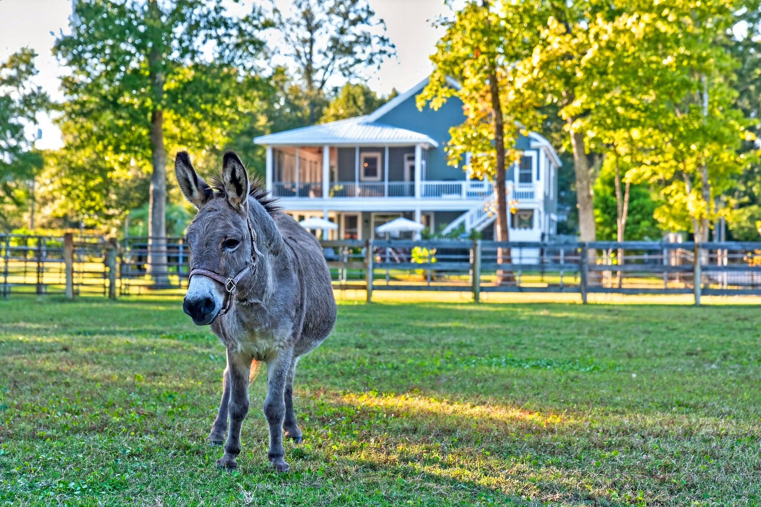  5299 Berkeley Court  Equestrian Property in Murrells Inlet, SC - 物件實景