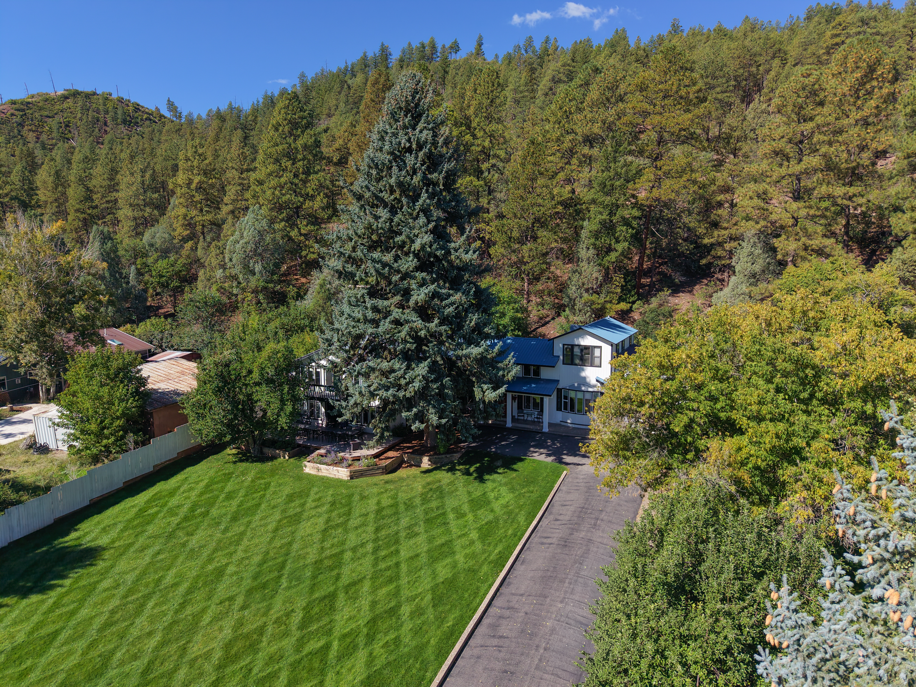  County Road 203, Durango, CO 81301 - 物件實景