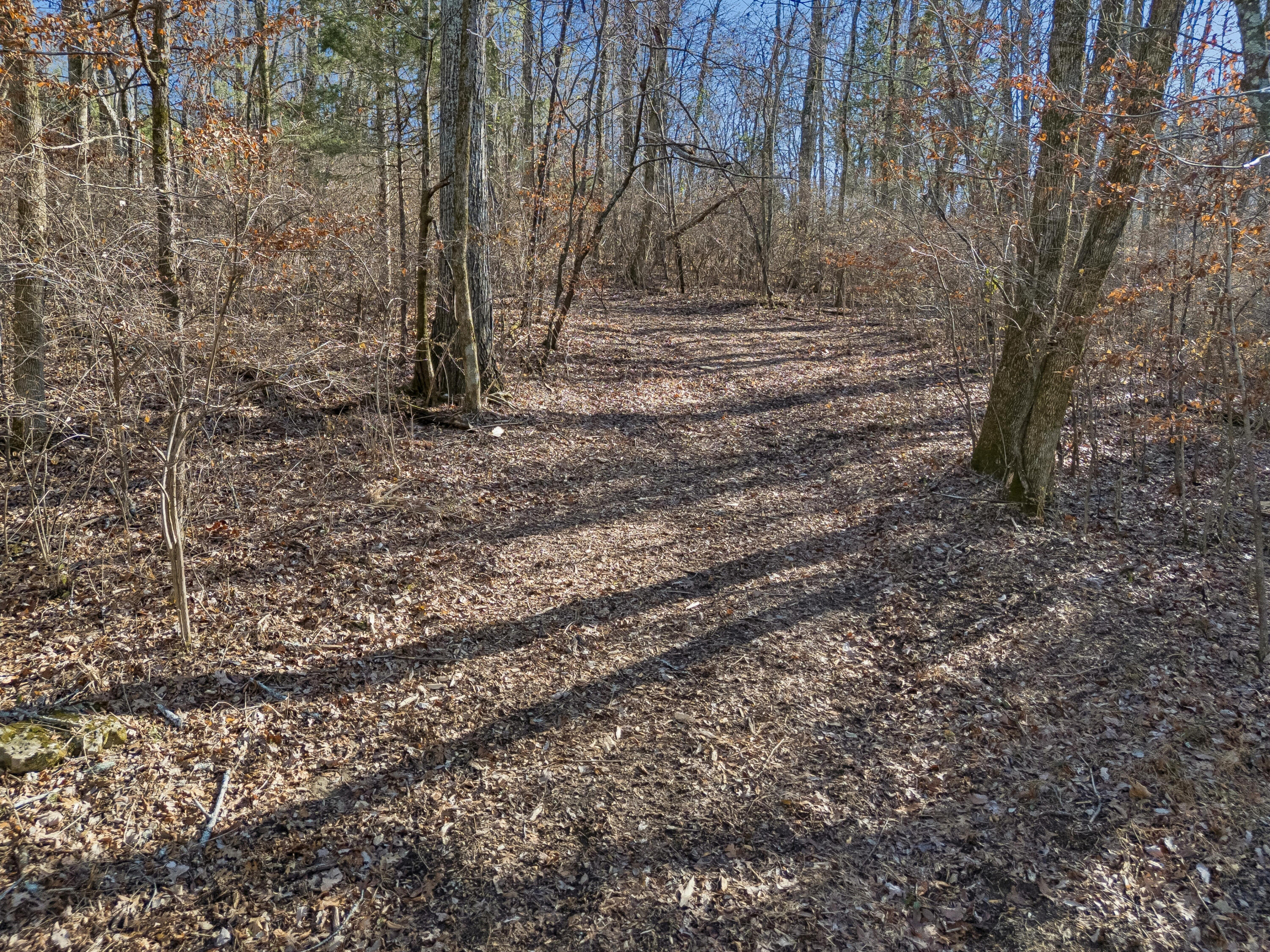 Brentwood, Tennessee, 37027, United States, ,Land,For Sale,2005446