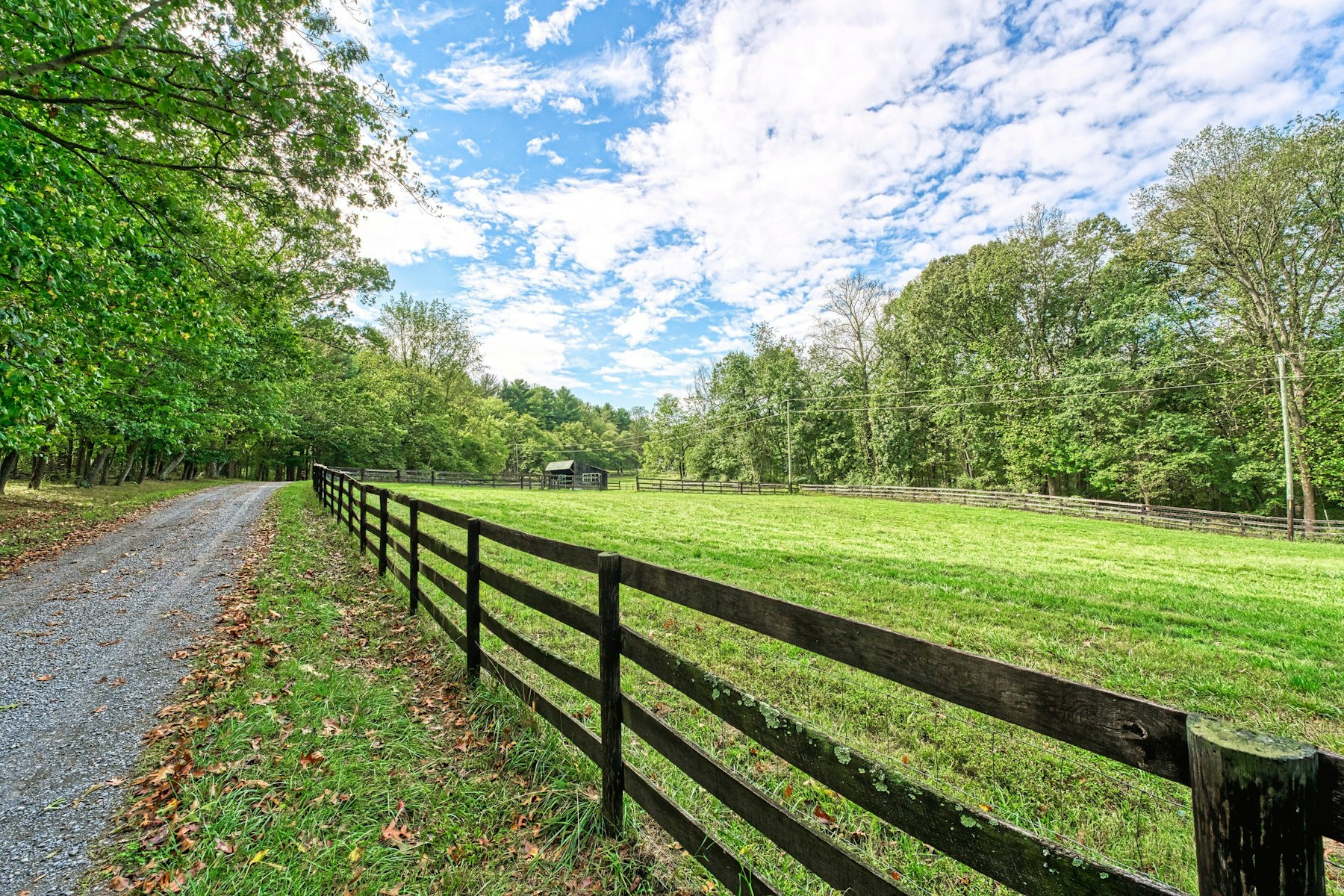  43470 Evans Pond Road, Leesburg, VA, 20176 - 物件實景