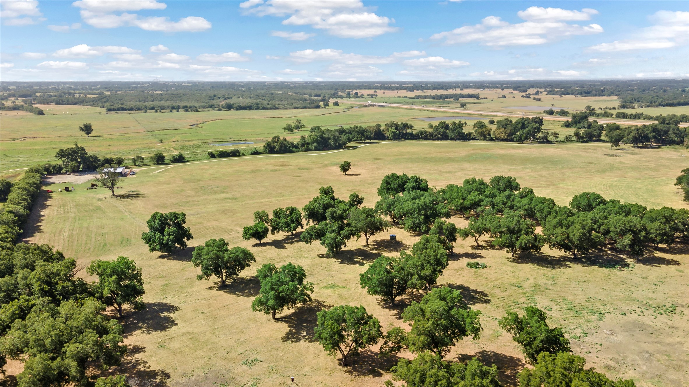 Reagan, Texas, 76680, United States, ,Land,For Sale,1986271