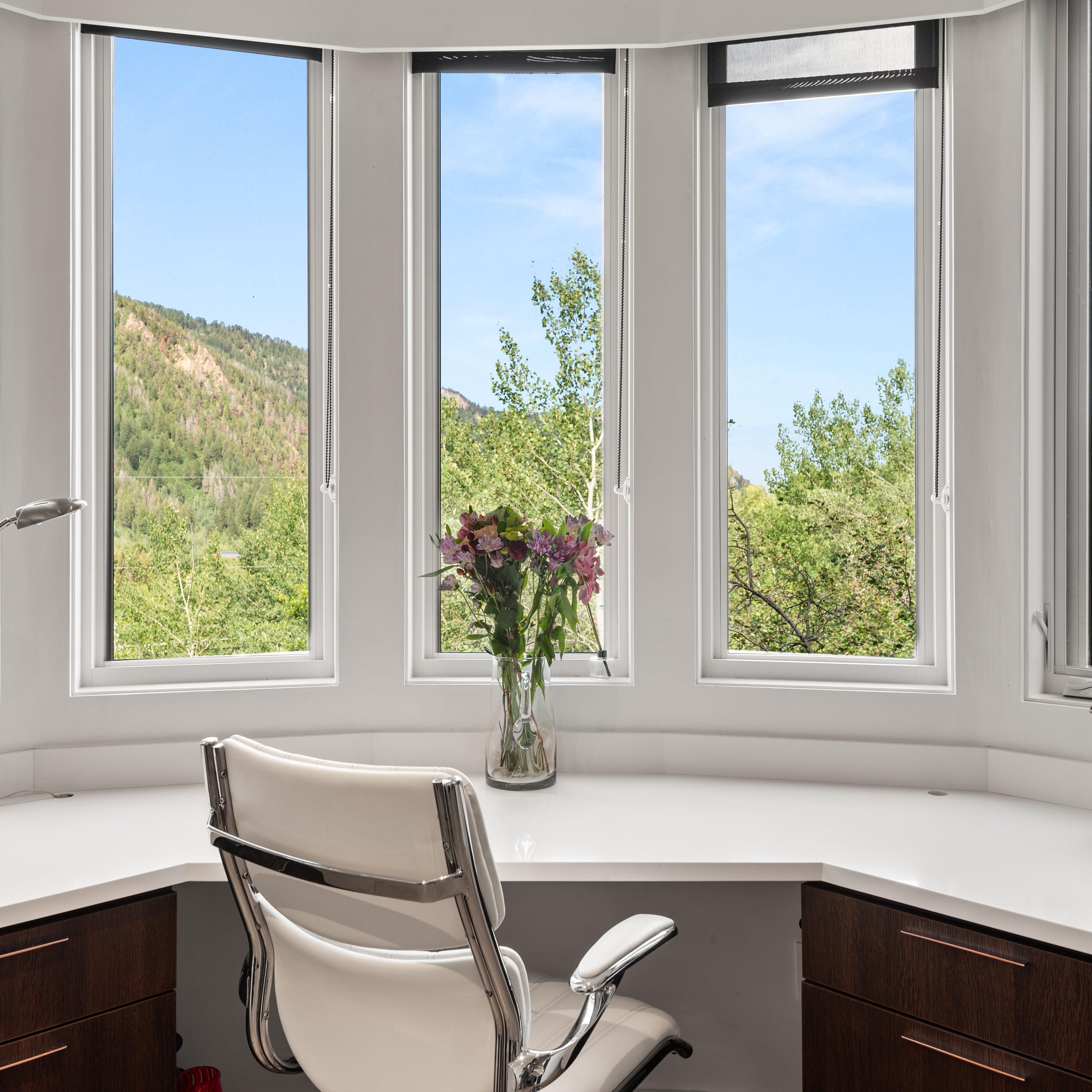  257 Mountain Laurel Drive, Aspen, CO, 81611 - 物件實景