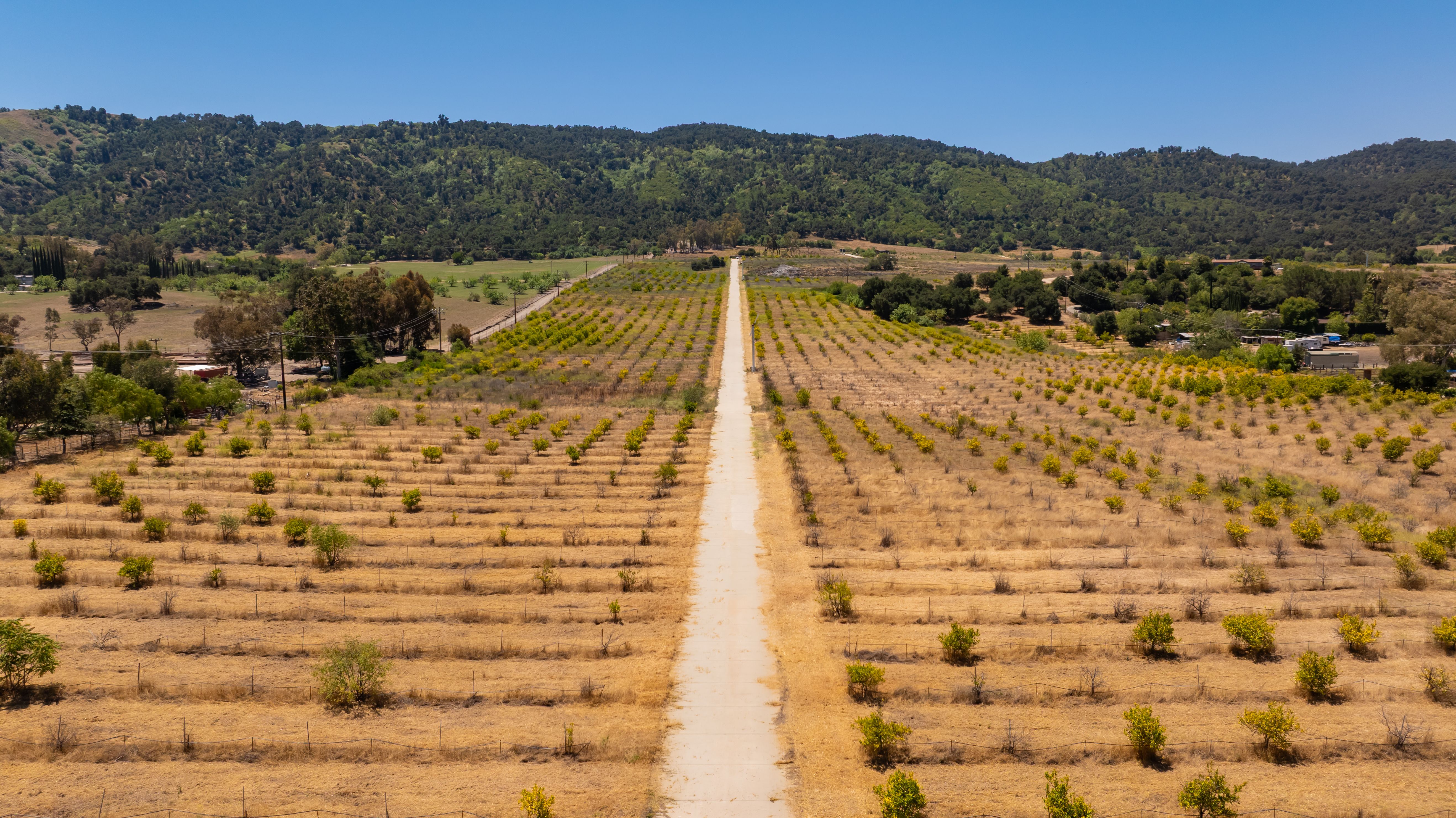  12400 Ojai Santa Paula Road, Ojai, CA 93023 - 物件實景