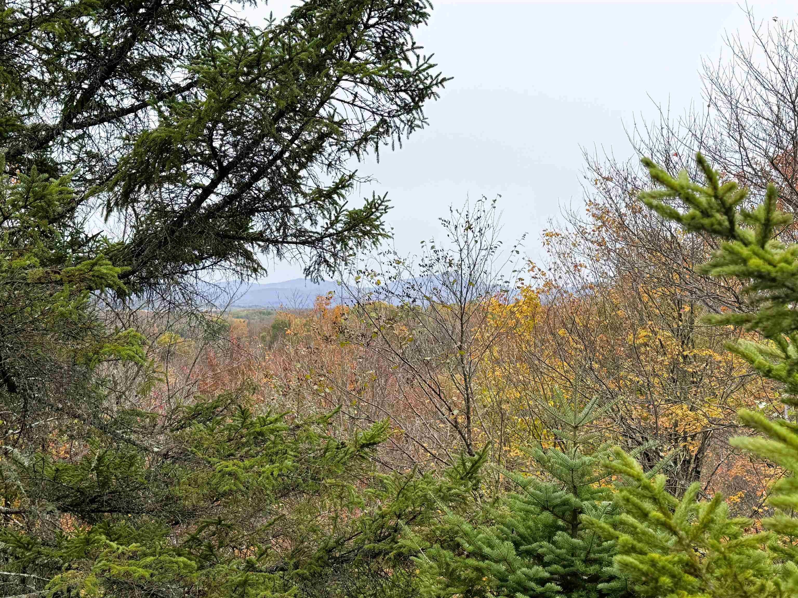 Newport Town, Vermont, 05857, United States, 3 Bedrooms Bedrooms, ,3 BathroomsBathrooms,Residential,For Sale,1980373