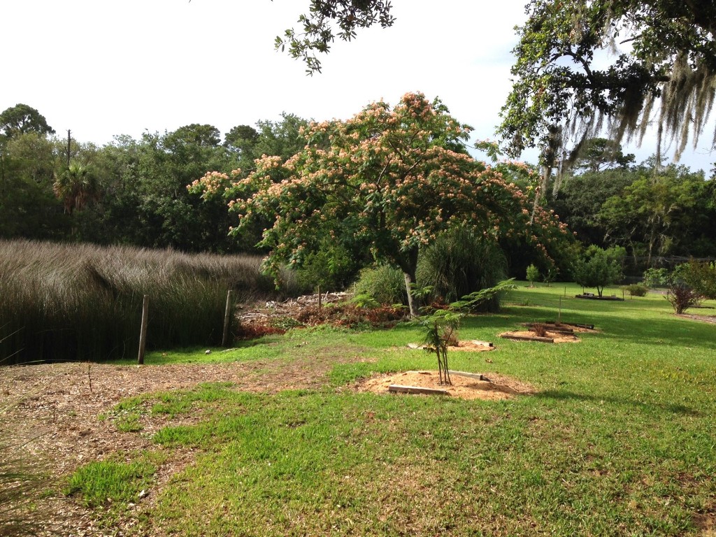 Fernandina Beach, Florida, 32034, United States, ,Land,For Sale,1974147