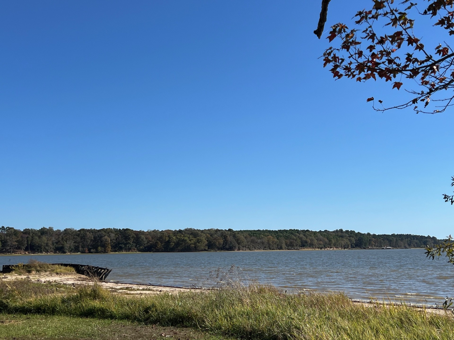 Converse, Louisiana, 71419, United States, ,Residential,For Sale,1995387