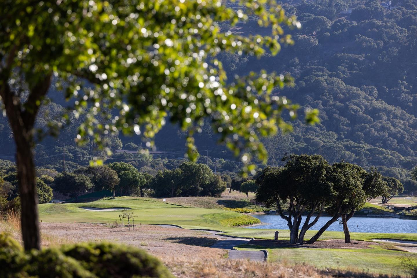 Monterey, California, 93940, United States, 3 Bedrooms Bedrooms, ,4 BathroomsBathrooms,Residential,For Sale,1927216
