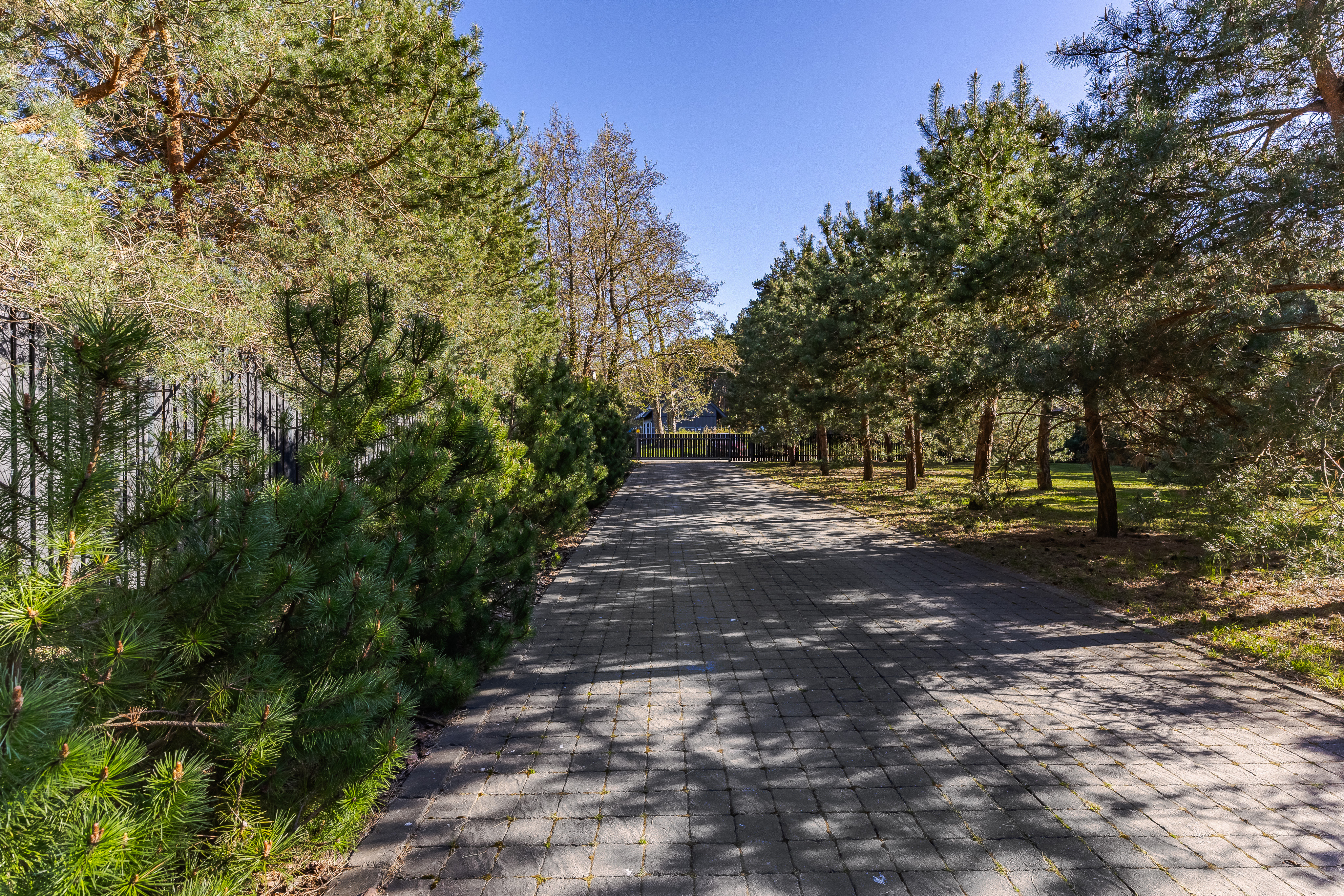  A house by the Baltic Sea surrounded by pines - 物件實景