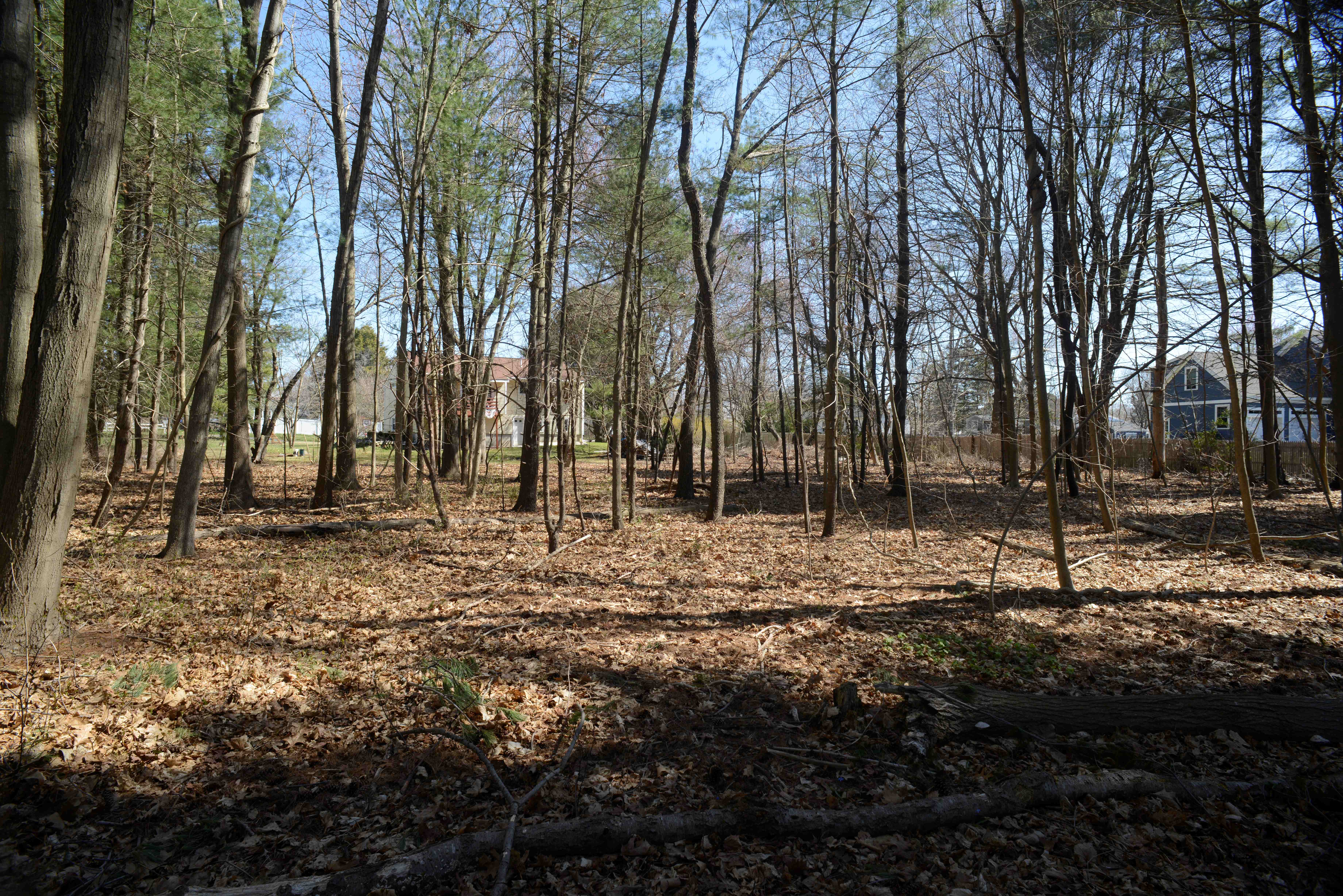 Hampton, New Hampshire, 03842, United States, ,Land,For Sale,1777257