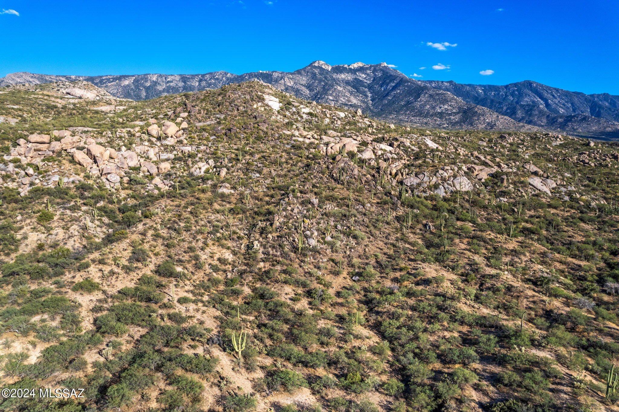 Tucson, Arizona, 85739, United States, ,Land,For Sale,1744993