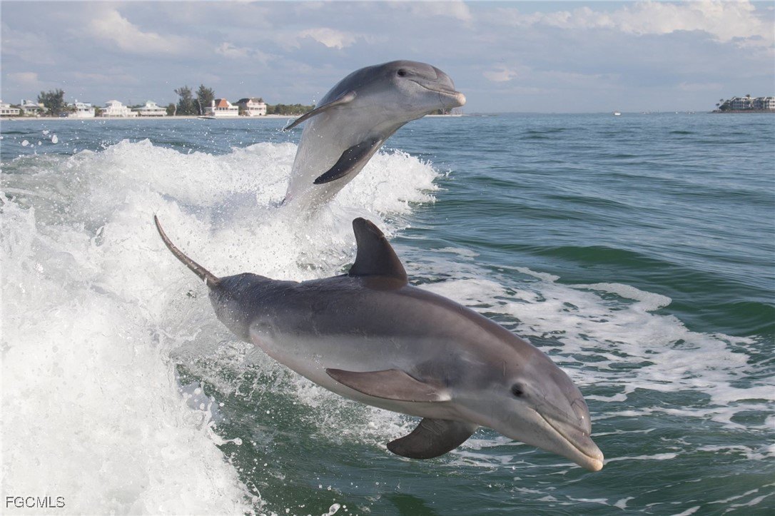 Fort Myers, Florida, 33908, United States, 3 Bedrooms Bedrooms, ,3 BathroomsBathrooms,Residential,For Sale,1973710