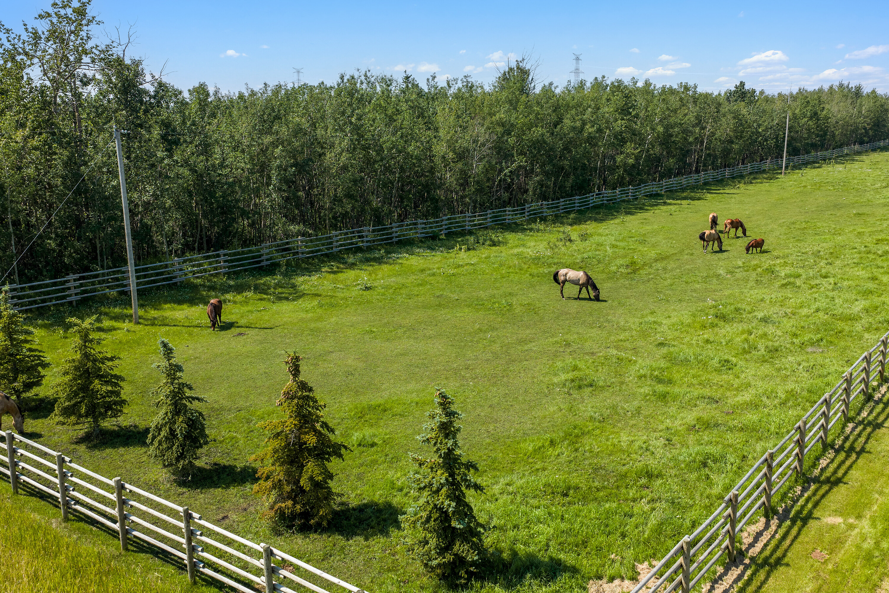  Rural Sturgeon County, Edmonton - 物件實景