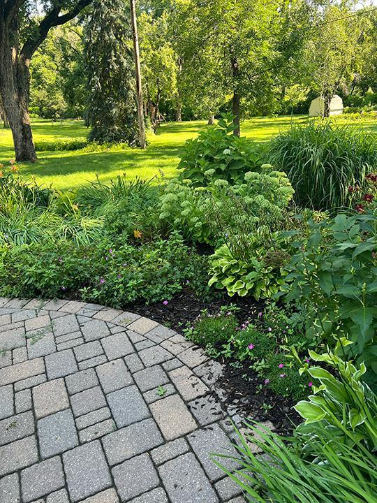 Richfield, Minnesota, 55423, United States, 3 Bedrooms Bedrooms, ,1 BathroomBathrooms,Residential,For Sale,1938909