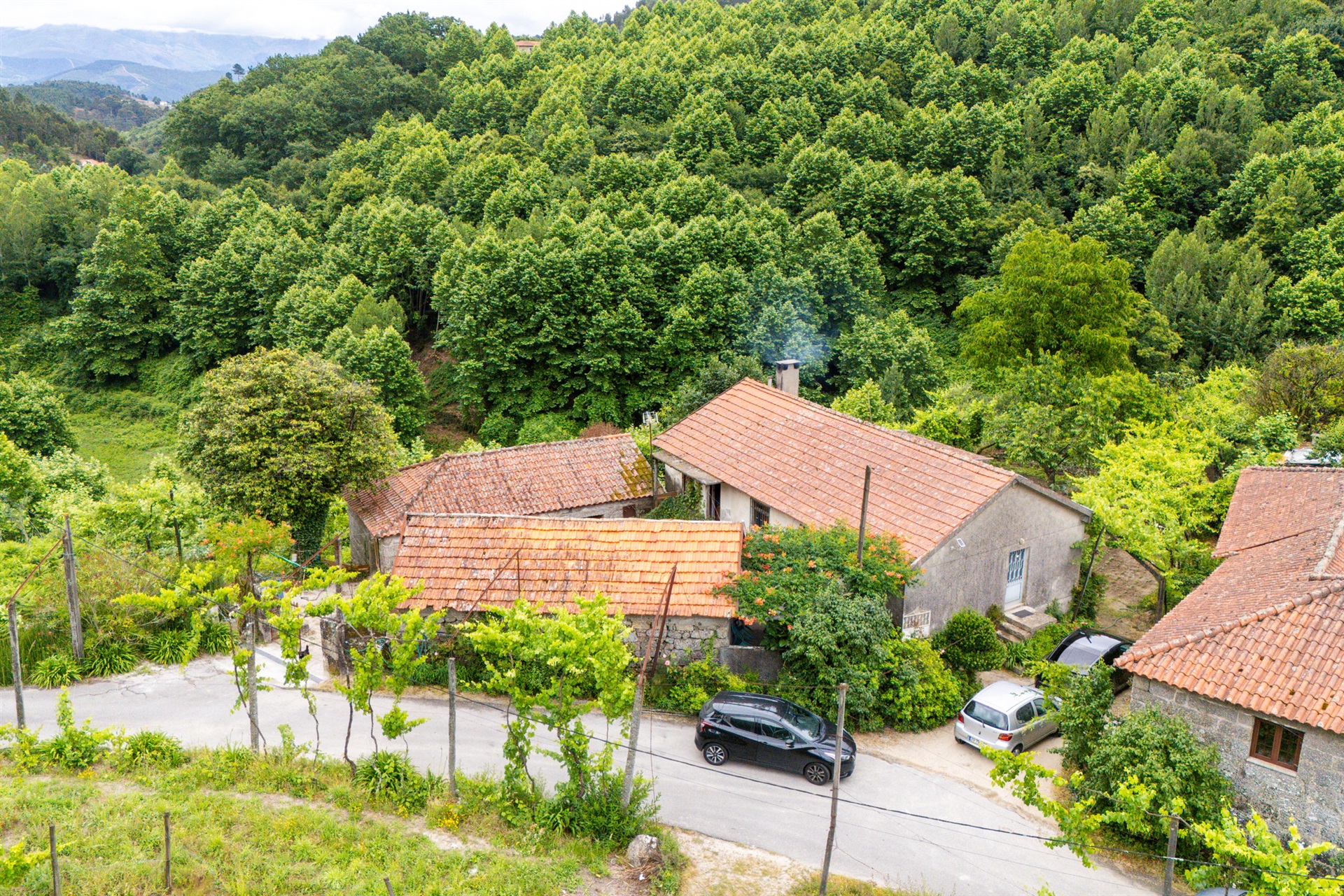  Farm, 3 bedrooms, for Sale - 物件實景