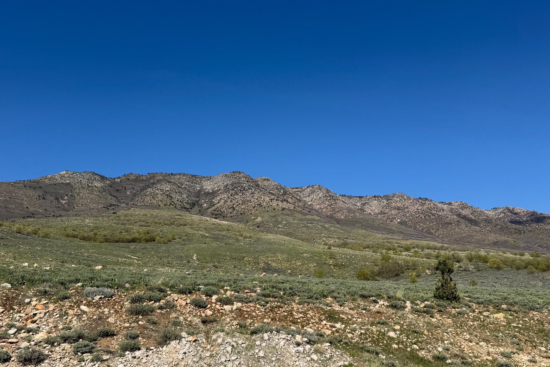  Premier Highlands View Lot - 物件實景