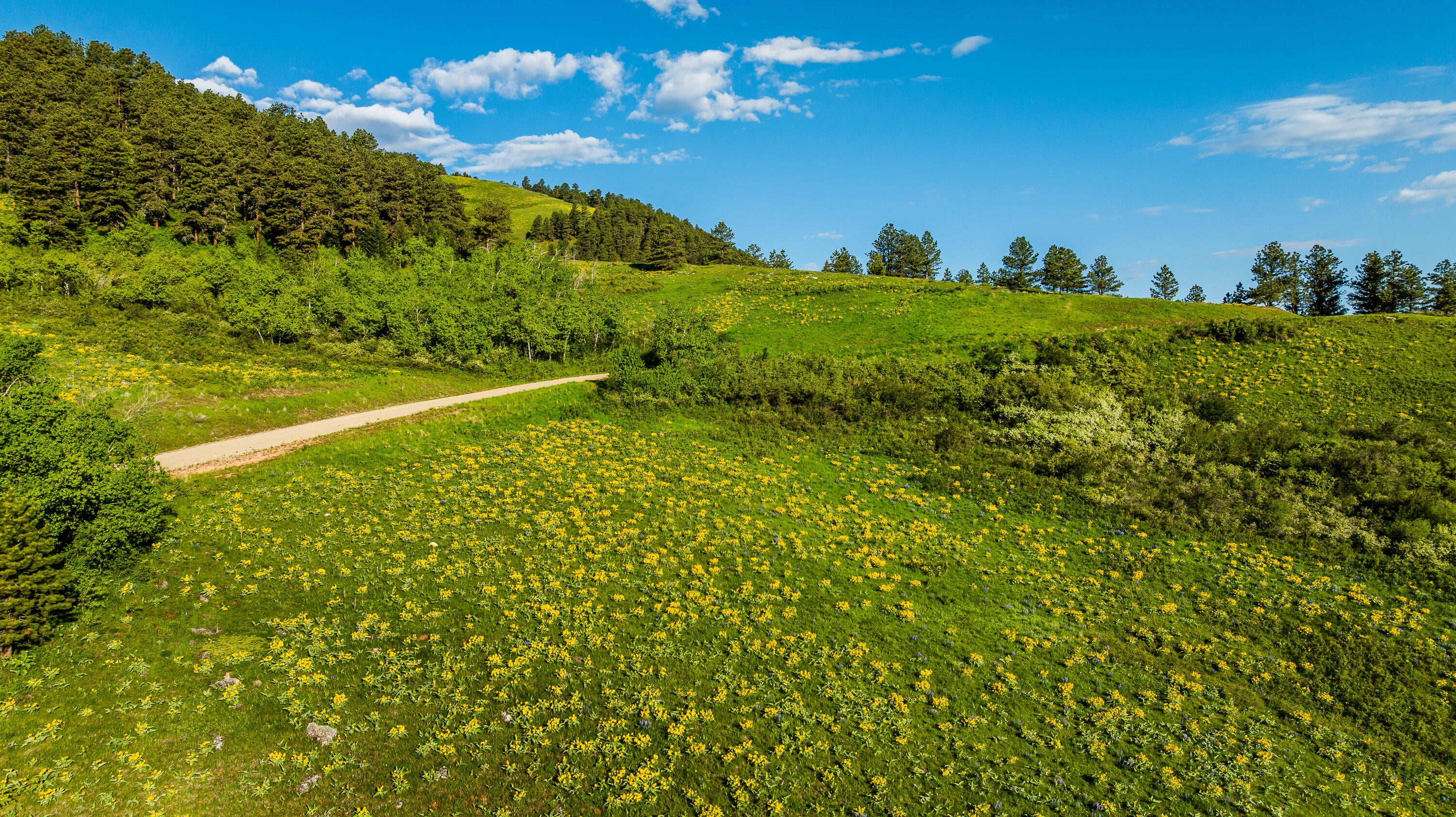 Big Horn, Wyoming, 82833, United States, ,Residential,For Sale,2011314