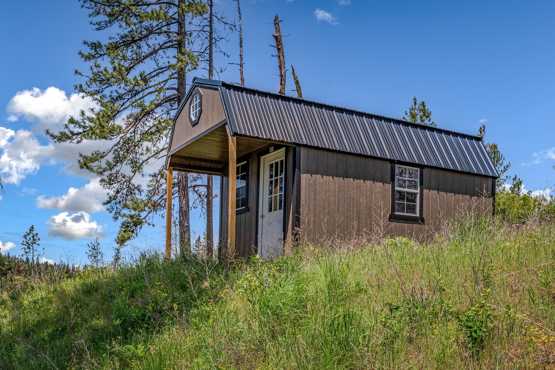  Cabins on 17ac. Surrounded by Lumber Land - 物件實景