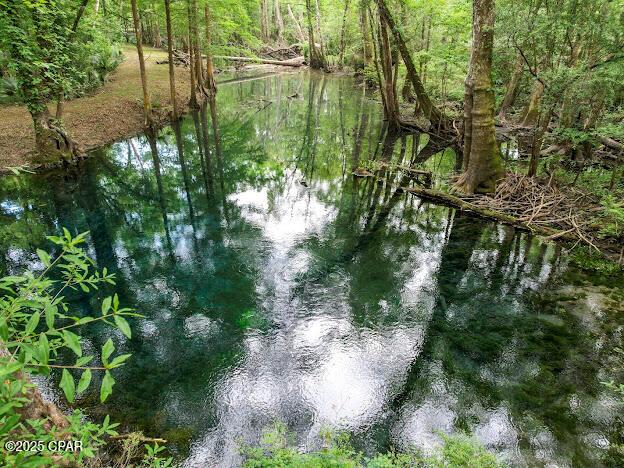 Vernon, Florida, 32462, United States, ,Residential,For Sale,1795705