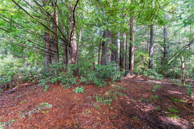 Mendocino, California, 95460, United States, 2 Bedrooms Bedrooms, ,1 BathroomBathrooms,Residential,For Sale,1921382