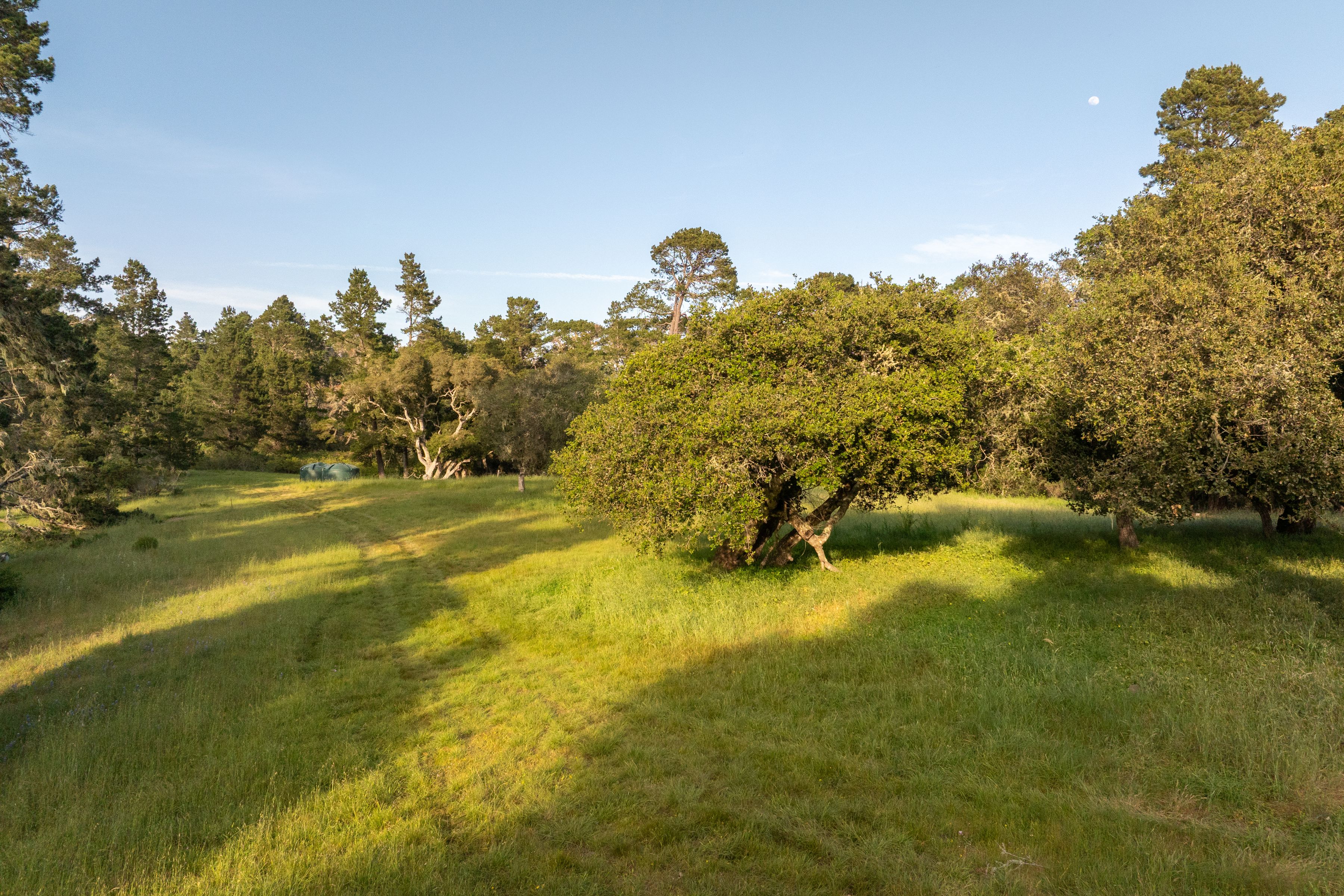 5155 Carmel Valley Road - 物件實景