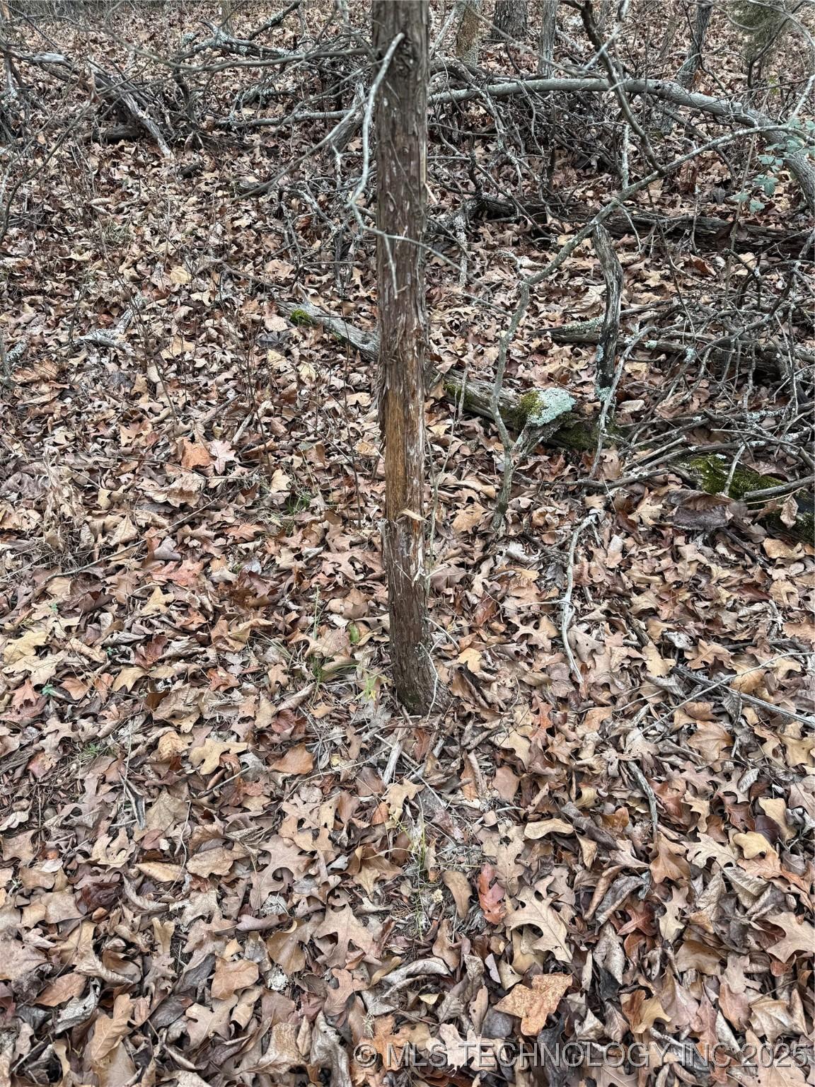 Fort Gibson, Oklahoma, 74434, United States, ,Residential,For Sale,2006417