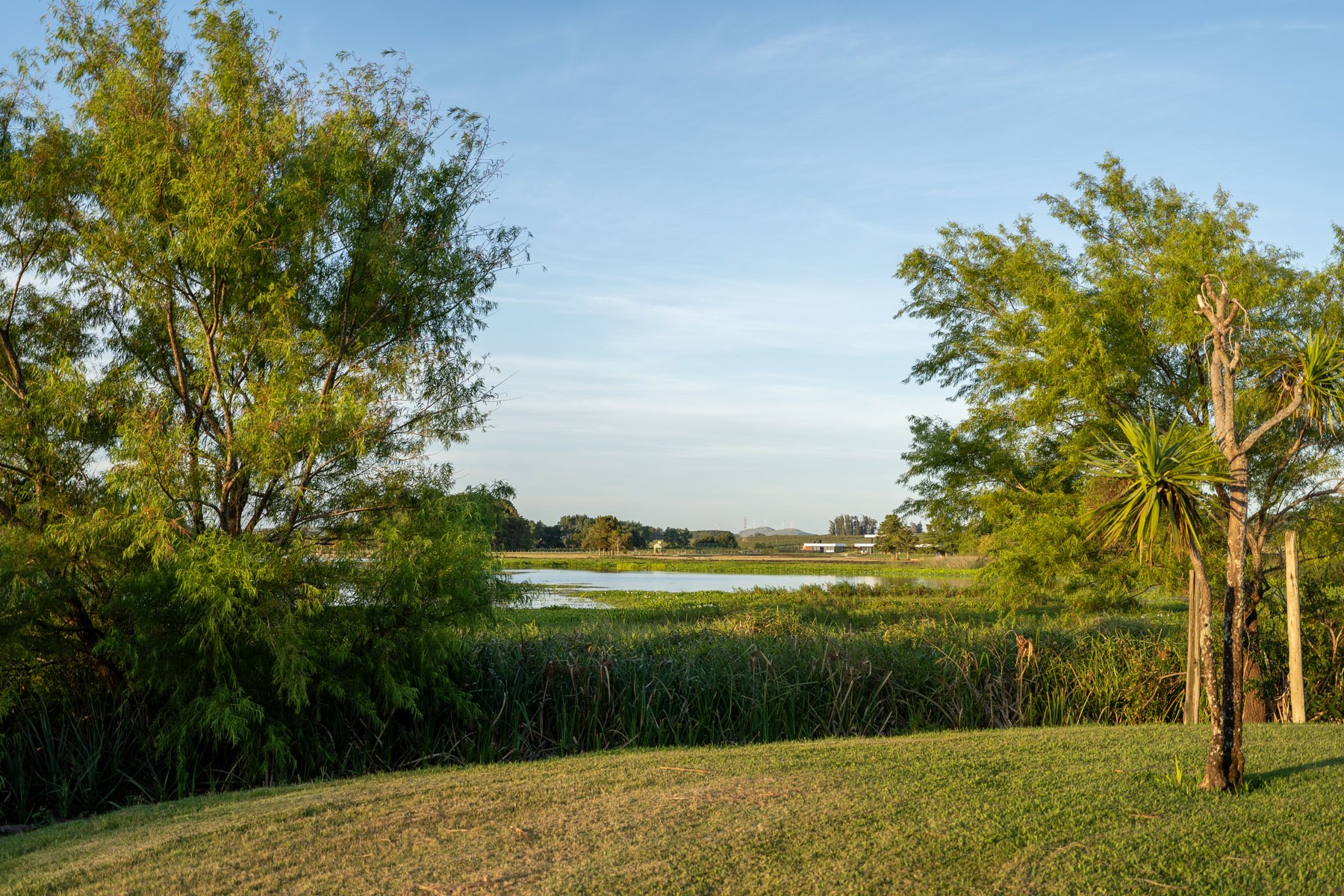  23 Hectares with Coastline on Laguna del Sauce - 物件實景