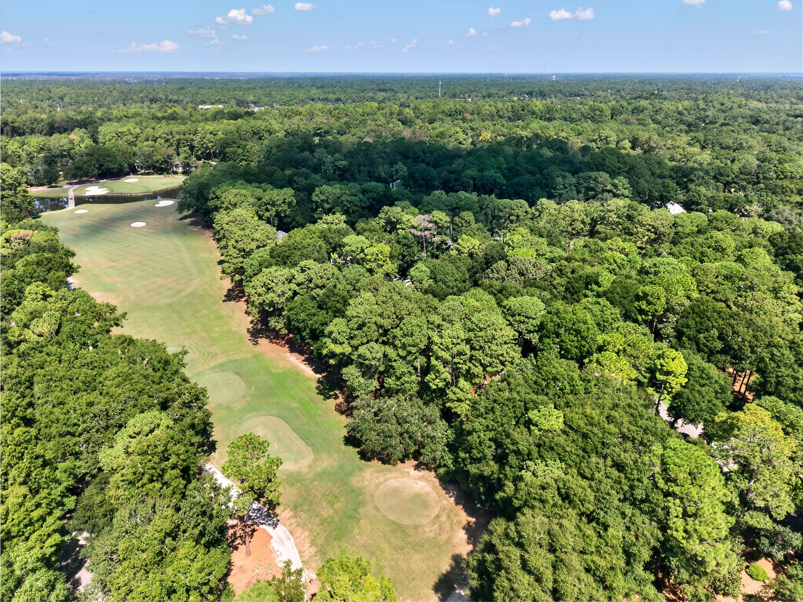  55-1 Weehawka way  Pawleys Plantation in Pawleys Island, SC - 物件實景