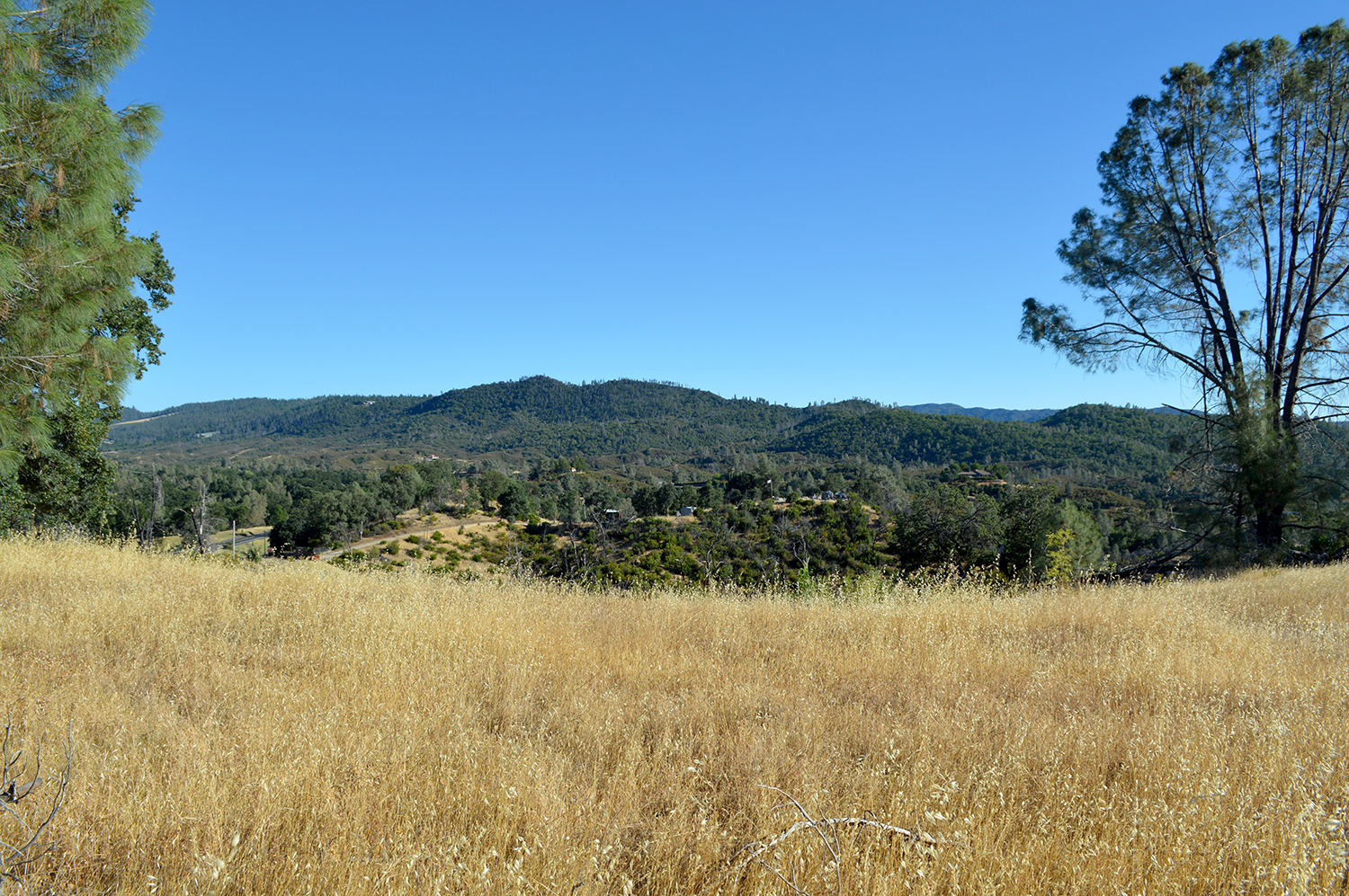 Kelseyville, California, 95451, United States, 2 Bedrooms Bedrooms, ,2 BathroomsBathrooms,Residential,For Sale,1856592