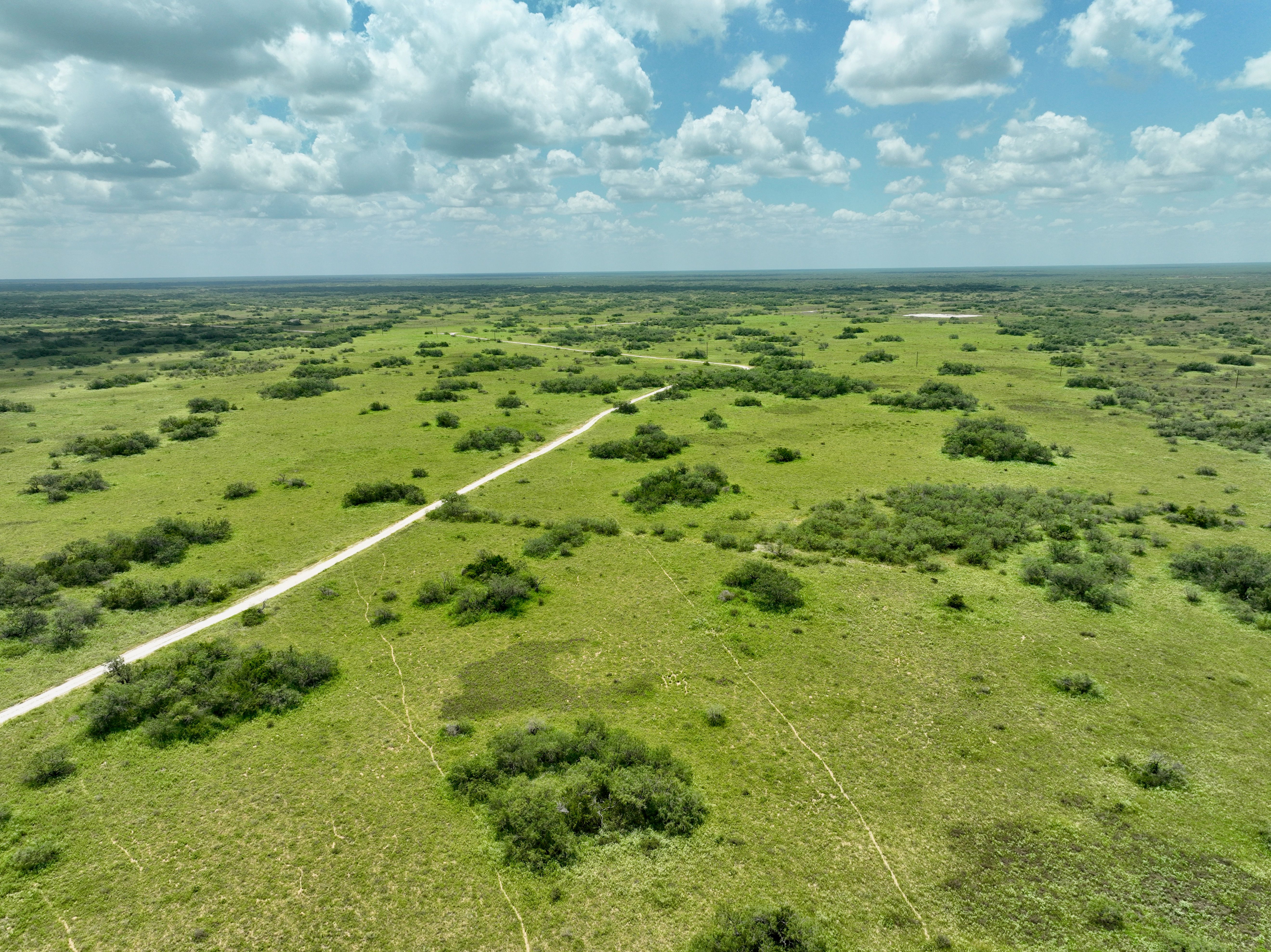  Mesquite Tree Ranch - 物件實景