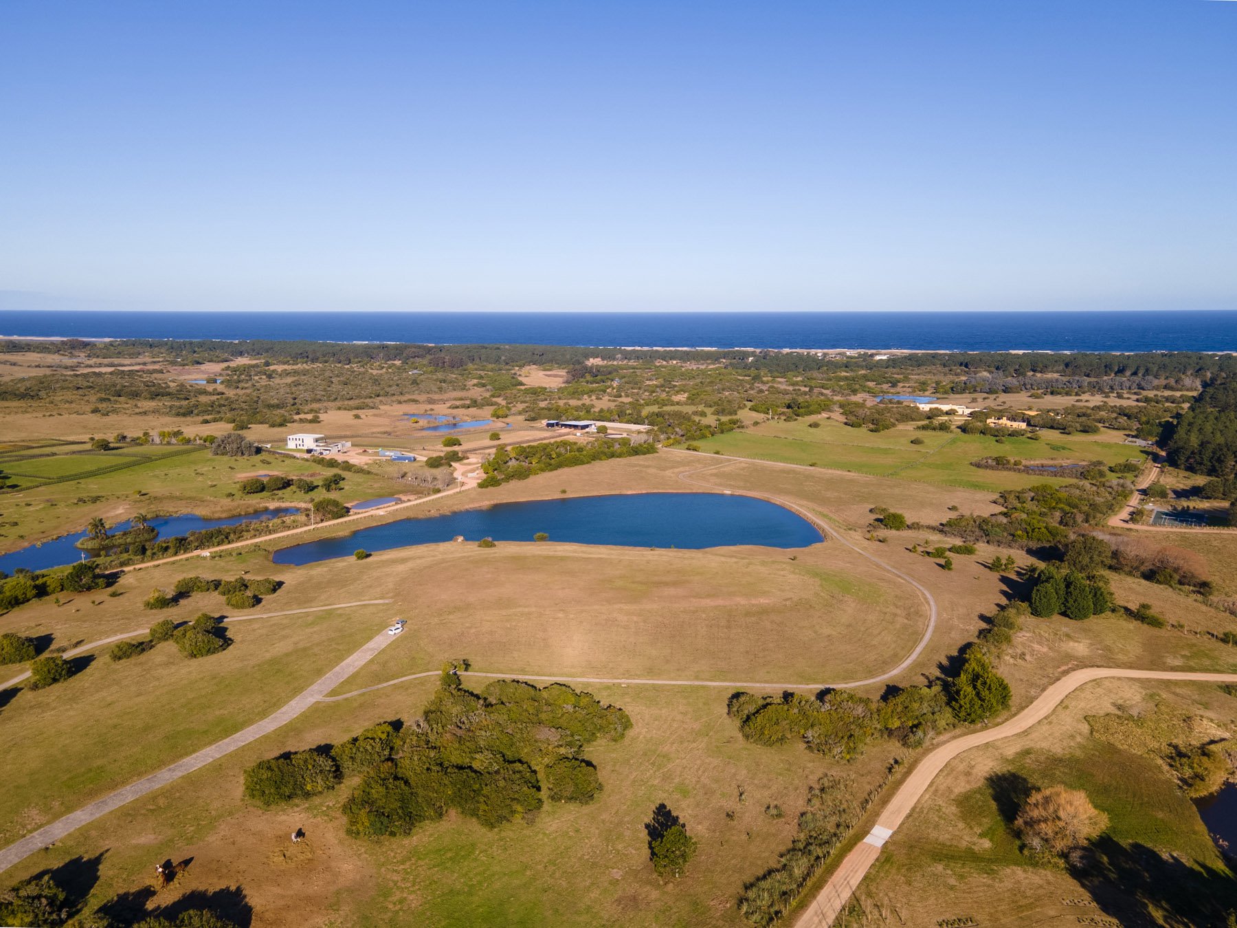  Magnificent Farm of 5 Hectares in José Ignacio - 物件實景