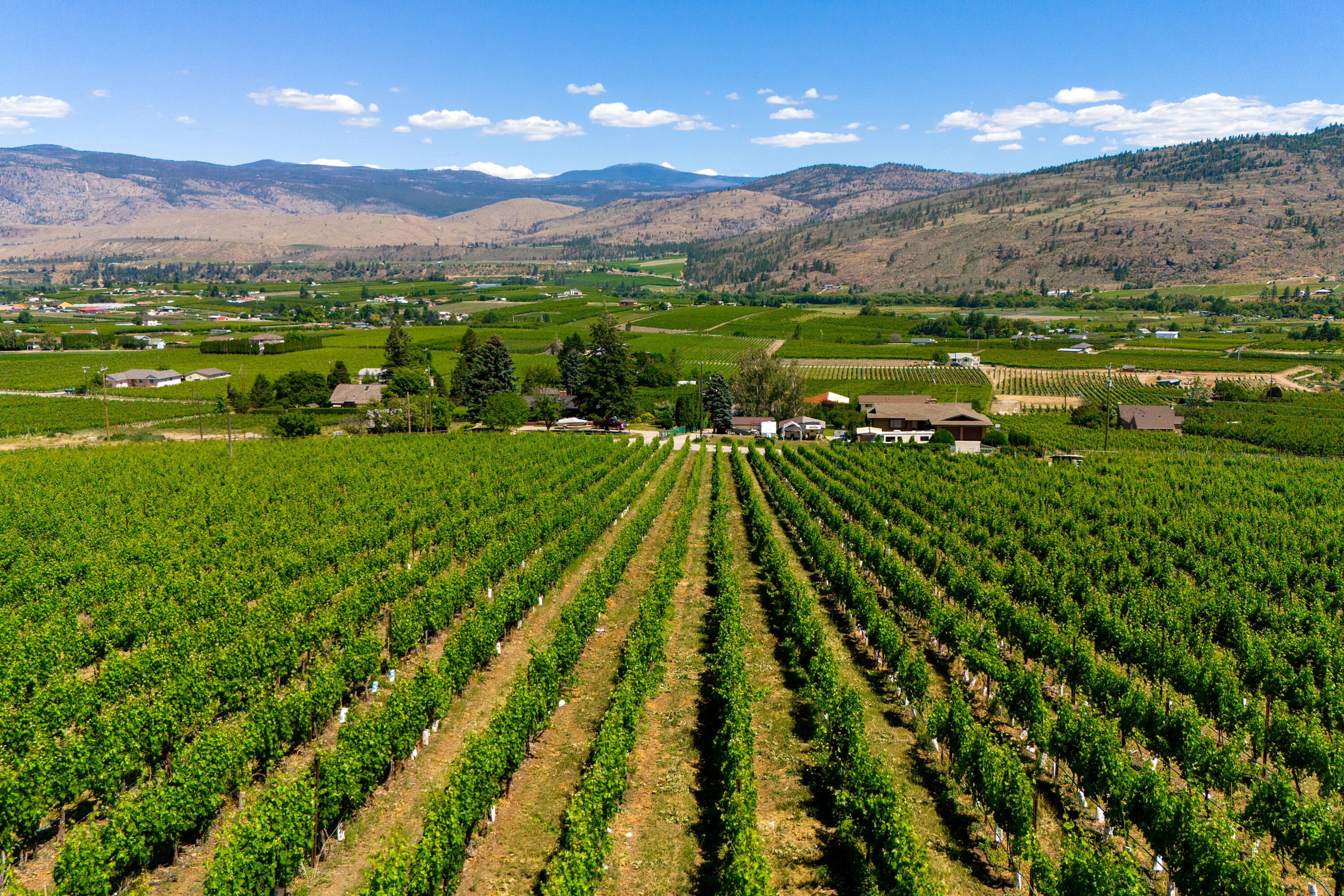  Lakefront Winery Receivership - 物件實景