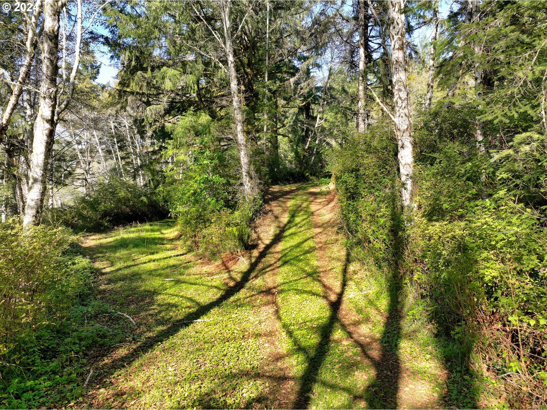 Brookings, Oregon, 97415, United States, 2 Bedrooms Bedrooms, ,2 BathroomsBathrooms,Residential,For Sale,1974438