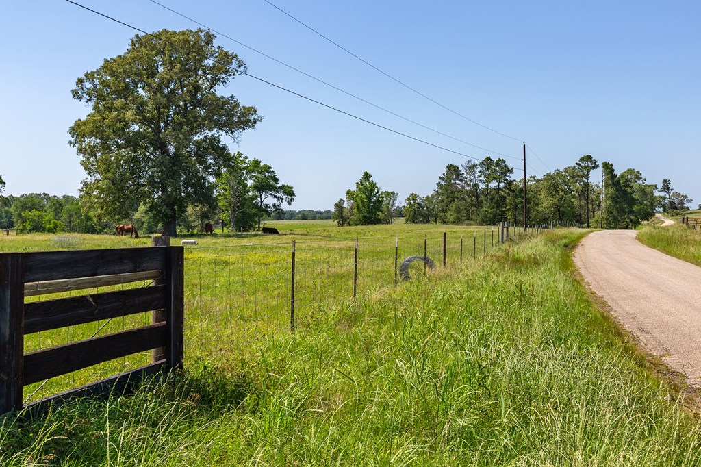 Pollok, Texas, 75969, United States, ,Residential,For Sale,1928088