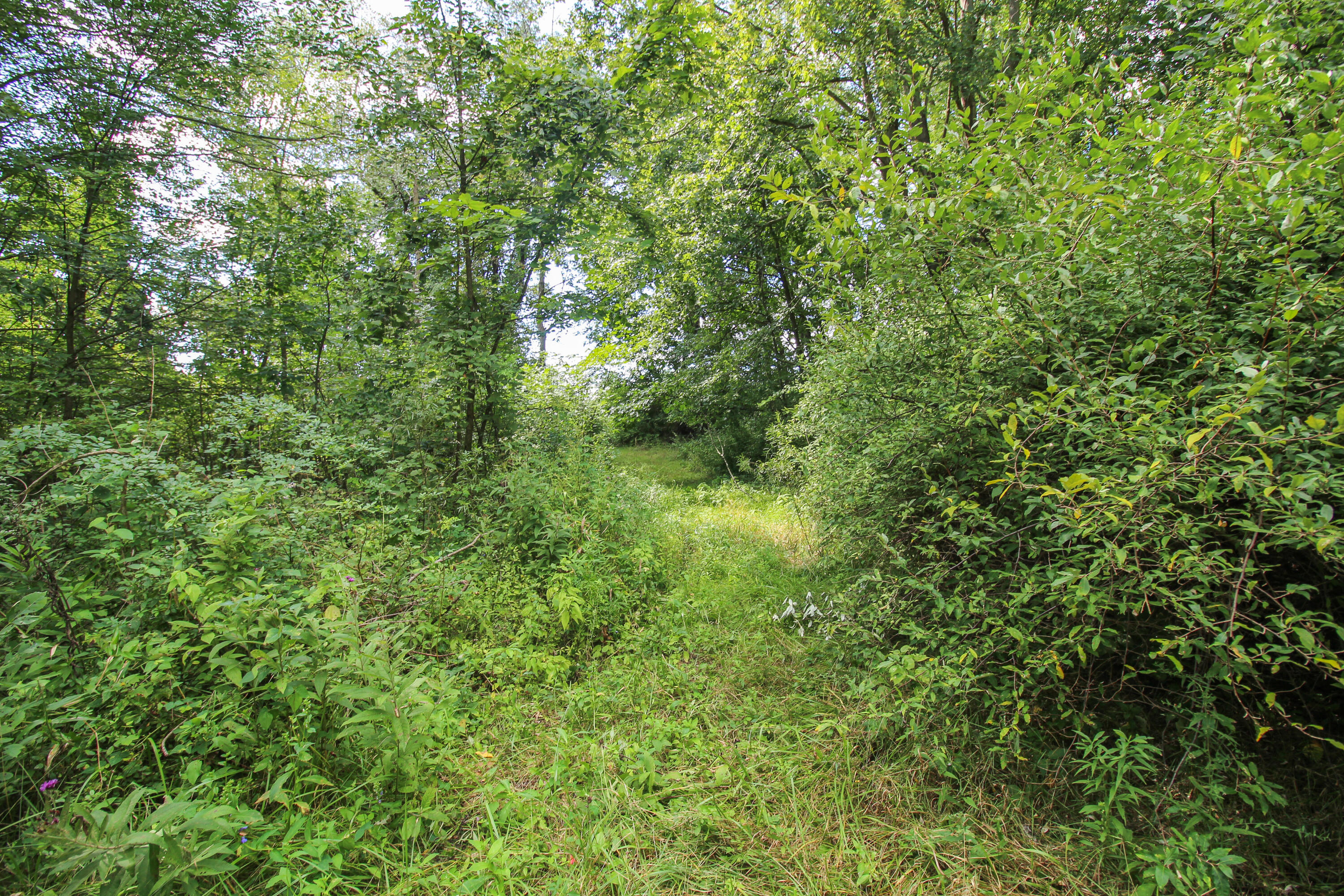 Three Rivers, Michigan, 49093, United States, 4 Bedrooms Bedrooms, ,1 BathroomBathrooms,Residential,For Sale,2006073