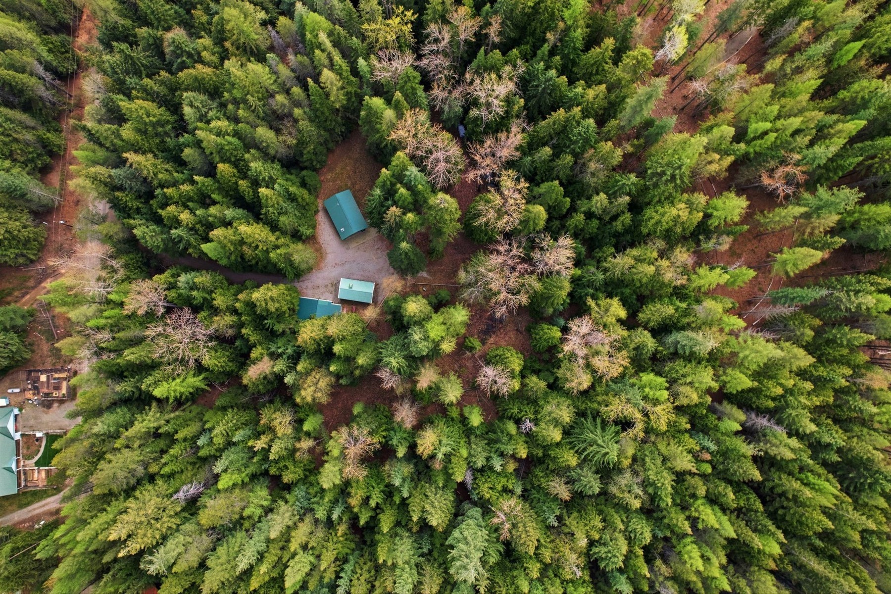  354 Fall Creek Road - 物件實景