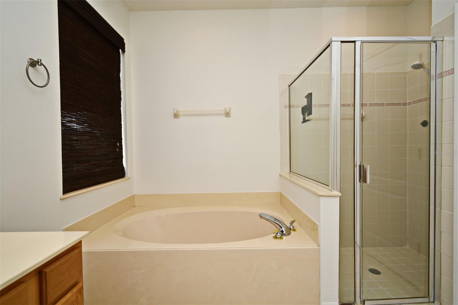 ORLANDO, Florida, 32836, United States, 4 Bedrooms Bedrooms, ,2 BathroomsBathrooms,Residential,For Sale,1922100